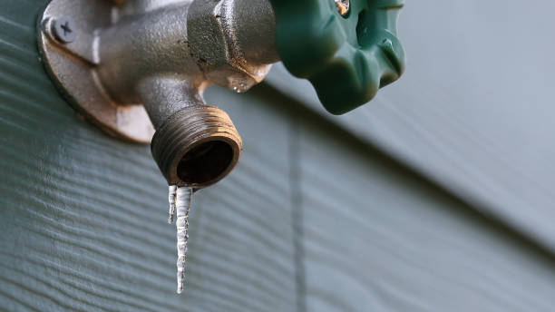 Best Residential Plumbing Services  in West Reading, PA